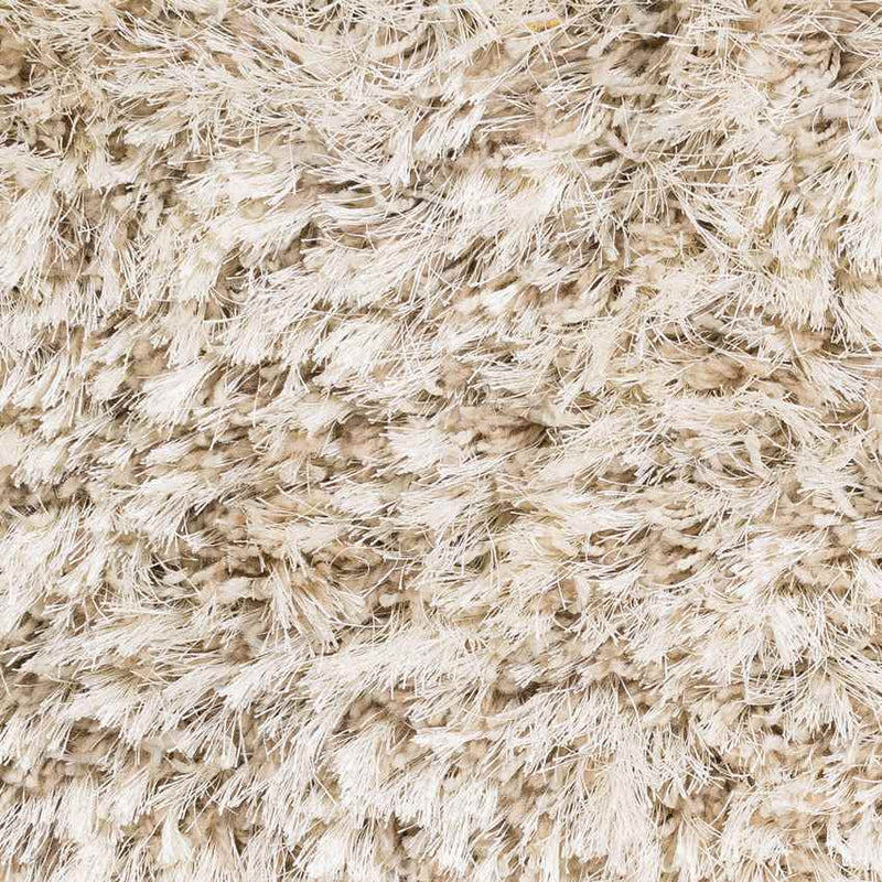 Etampes Modern Beige Area Rug