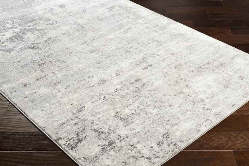 Le Robert Modern Silver Gray Area Rug