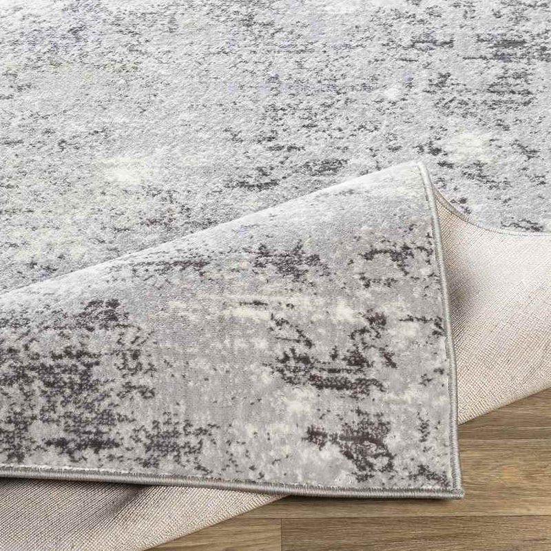 Le Robert Modern Silver Gray Area Rug