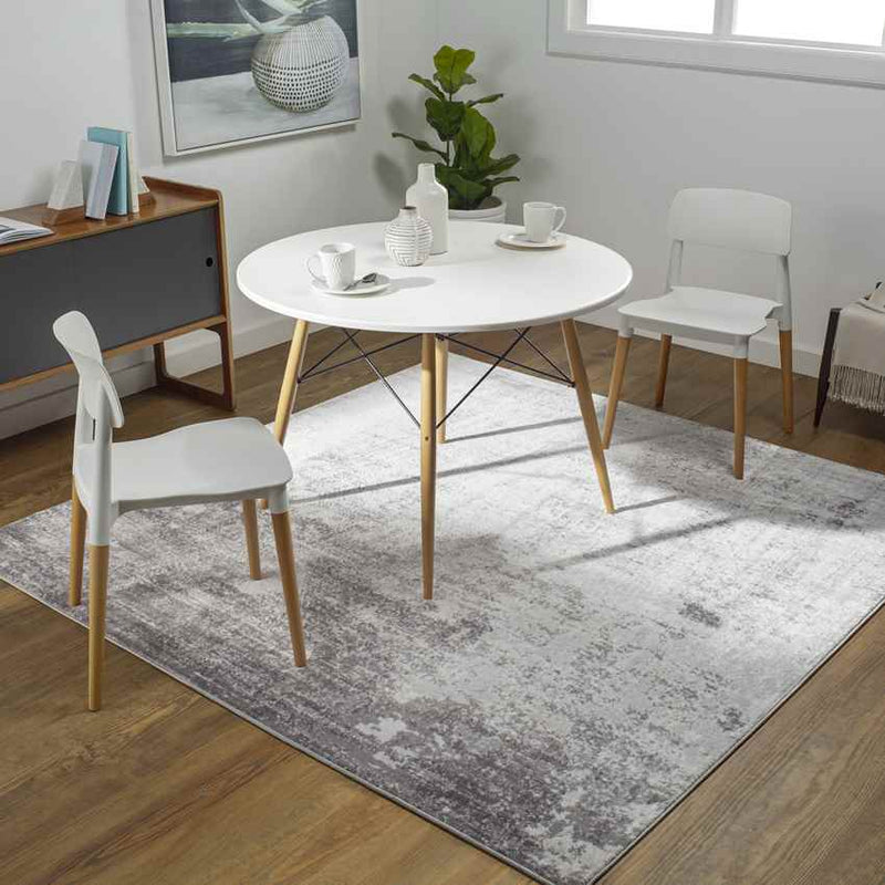 Le Robert Modern Silver Gray Area Rug