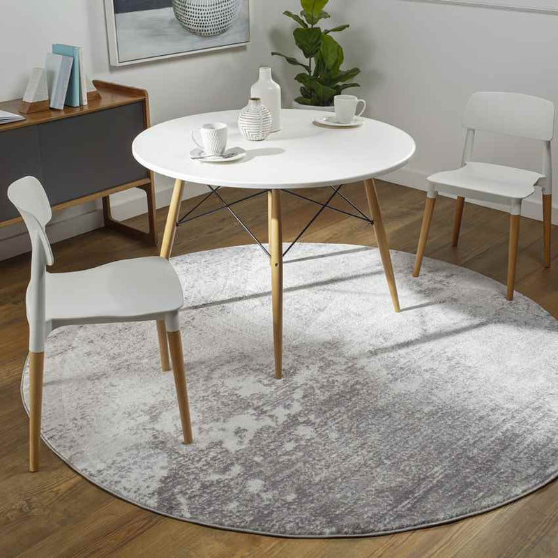 Le Robert Modern Silver Gray Area Rug