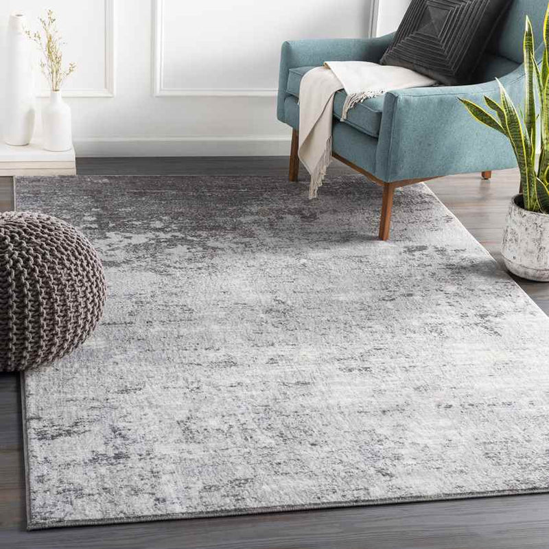 Le Robert Modern Silver Gray Area Rug