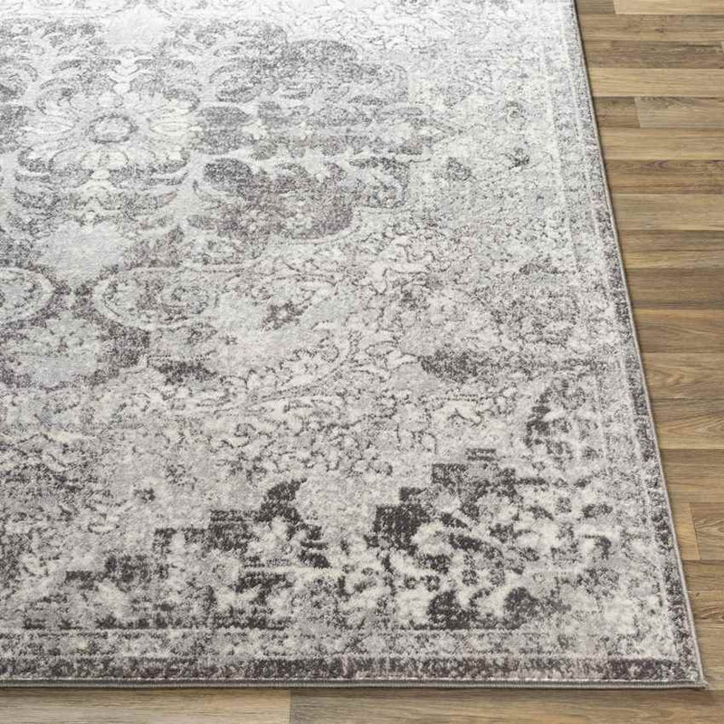 Cenon Traditional Gray/White/Charcoal Area Rug