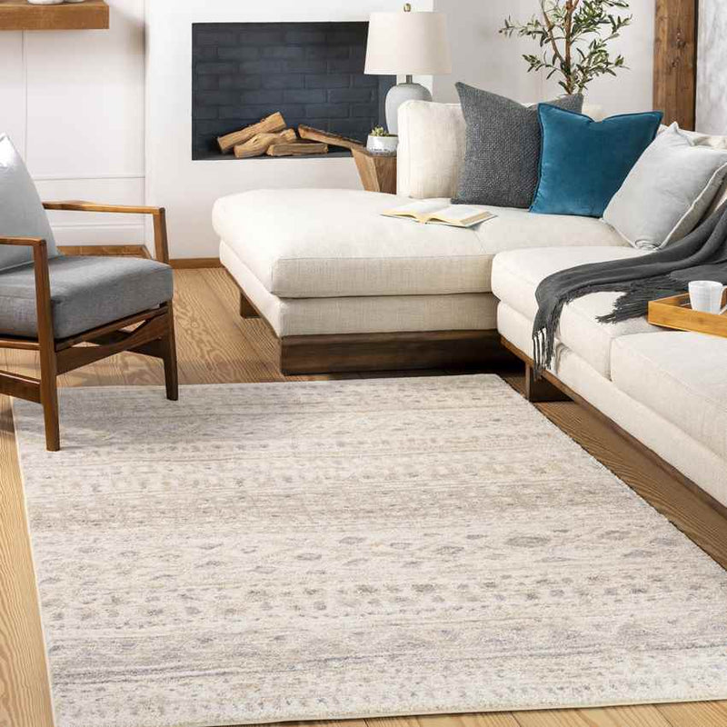 Denain Global Light Gray Area Rug