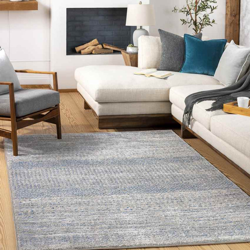 Oliver Modern Medium Gray Area Rug