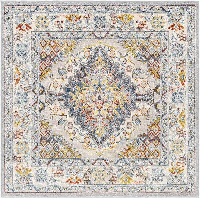 Var Traditional Gray Area Rug