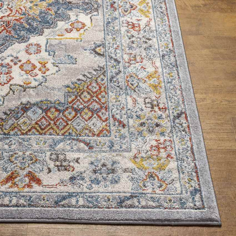 Var Traditional Gray Area Rug