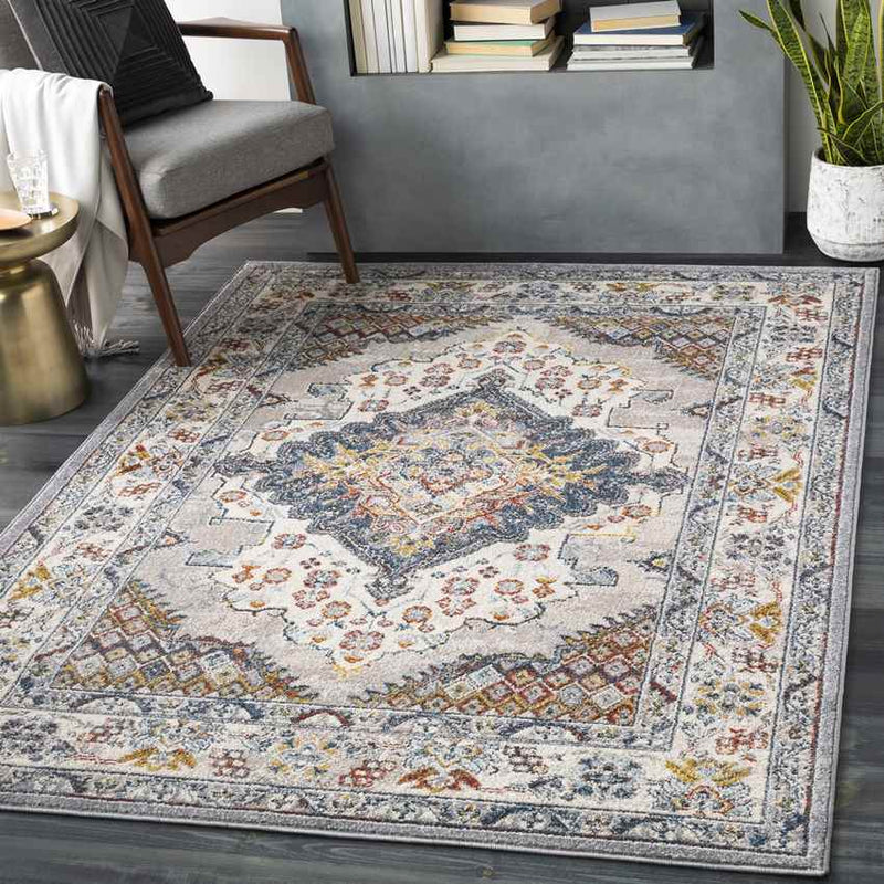 Var Traditional Gray Area Rug