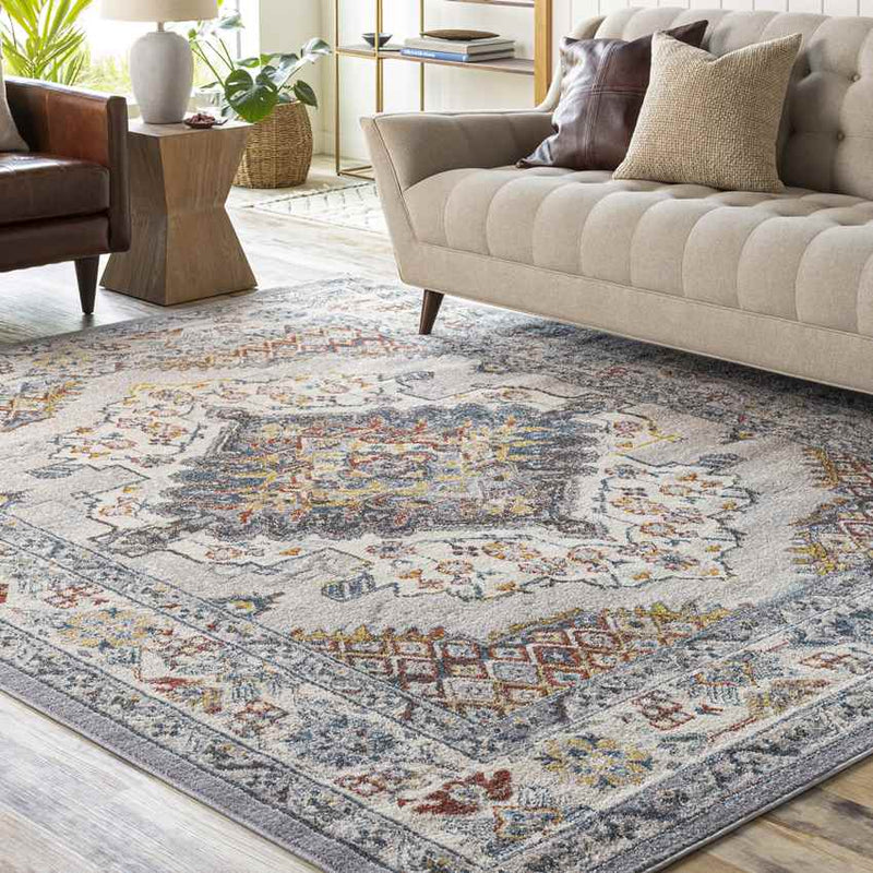 Var Traditional Gray Area Rug