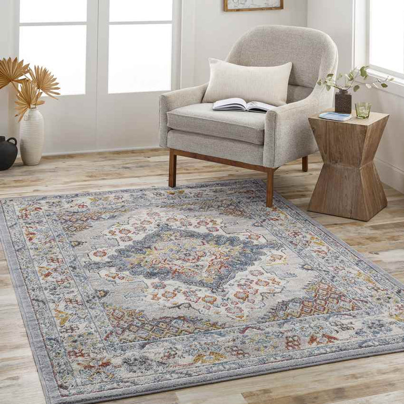 Var Traditional Gray Area Rug