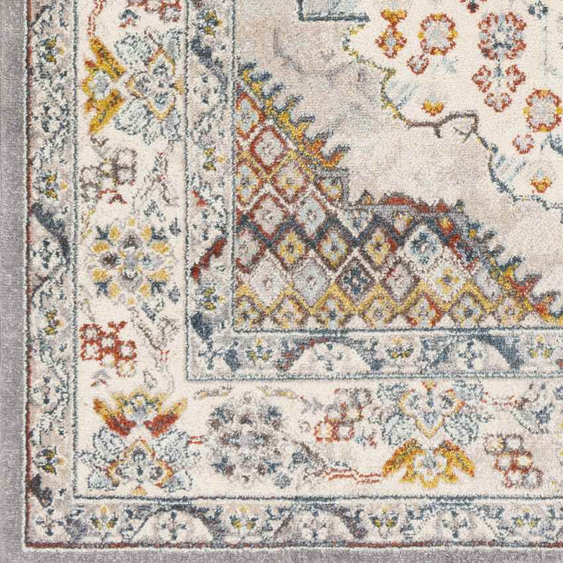 Var Traditional Gray Area Rug