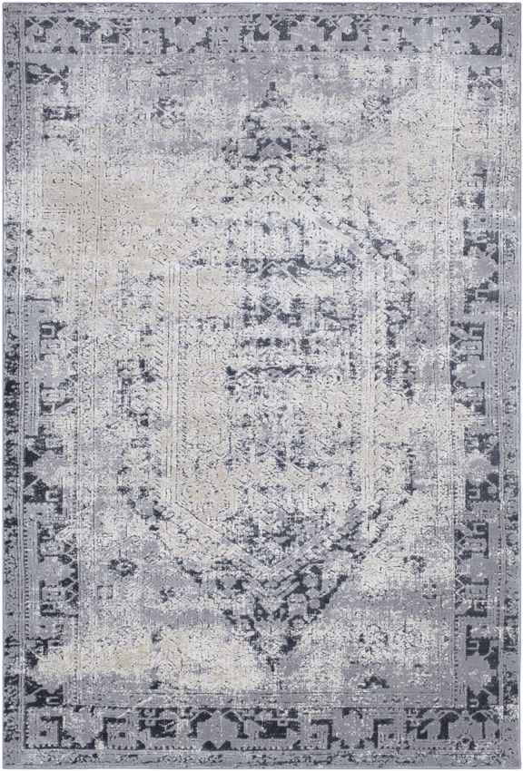 Sarthe Traditional Medium Gray Area Rug