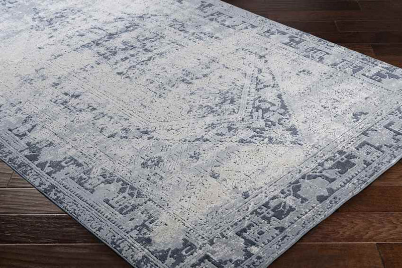 Sarthe Traditional Medium Gray Area Rug