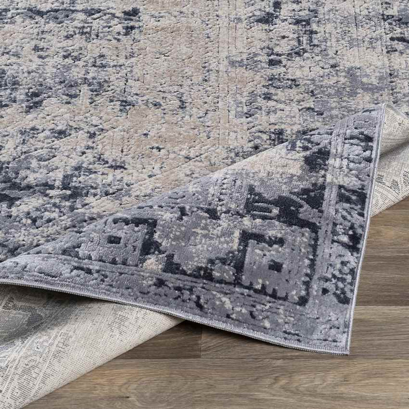 Sarthe Traditional Medium Gray Area Rug