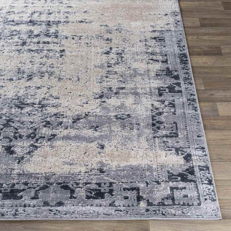 Sarthe Traditional Medium Gray Area Rug