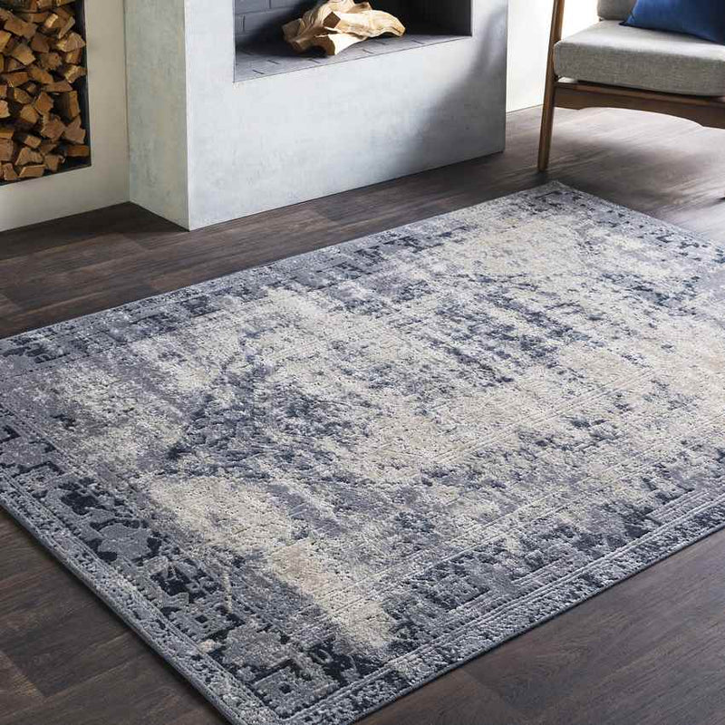 Sarthe Traditional Medium Gray Area Rug