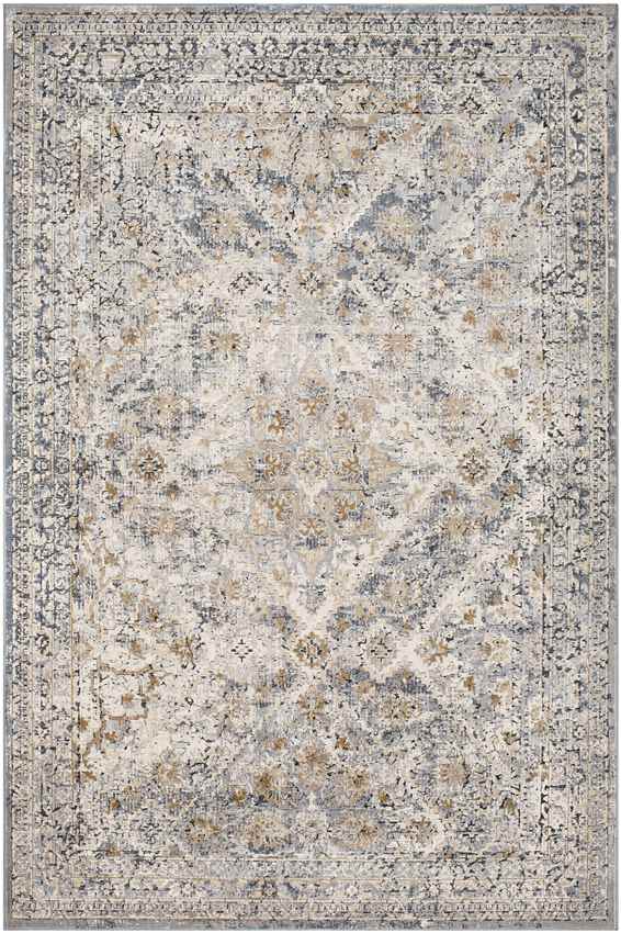 Reunion Traditional Medium Gray Area Rug