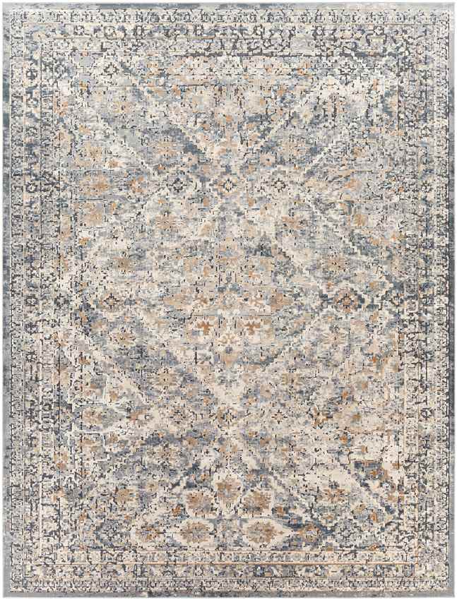 Reunion Traditional Medium Gray Area Rug