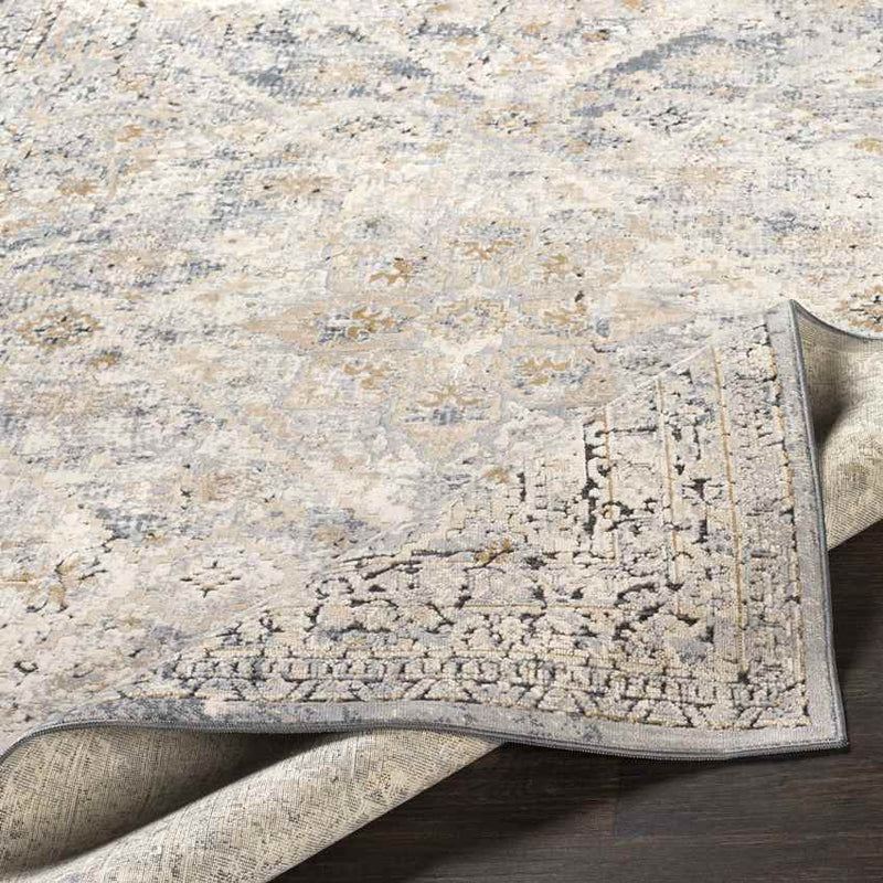 Reunion Traditional Medium Gray Area Rug