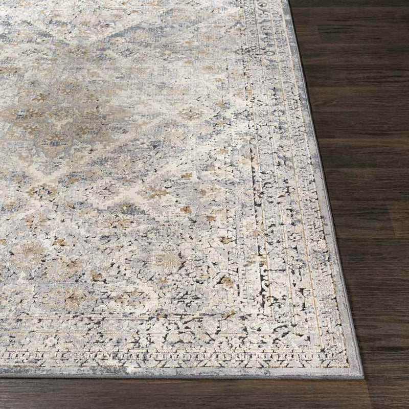 Reunion Traditional Medium Gray Area Rug