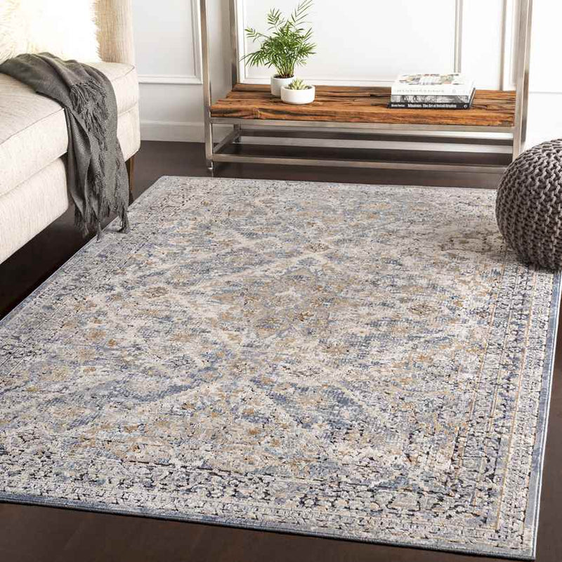 Reunion Traditional Medium Gray Area Rug