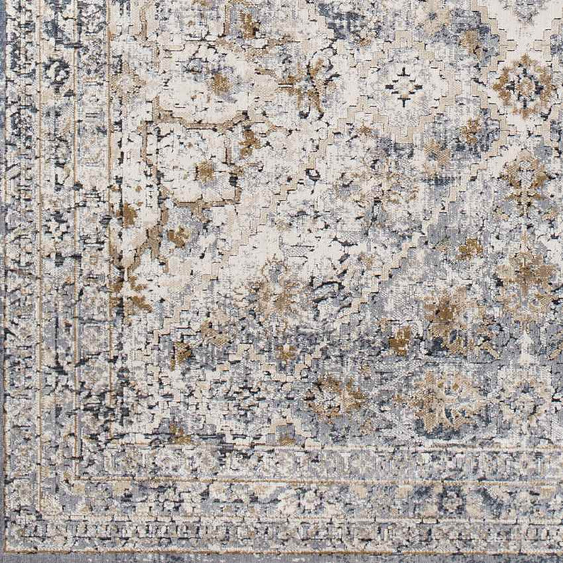 Reunion Traditional Medium Gray Area Rug