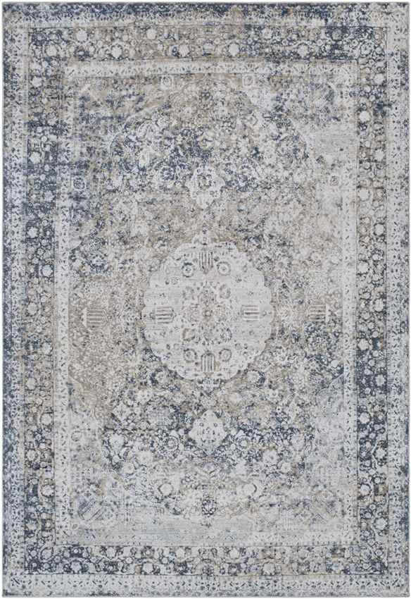 Finistere Traditional Medium Gray Area Rug