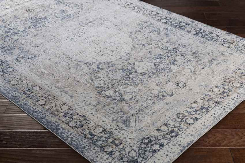 Finistere Traditional Medium Gray Area Rug