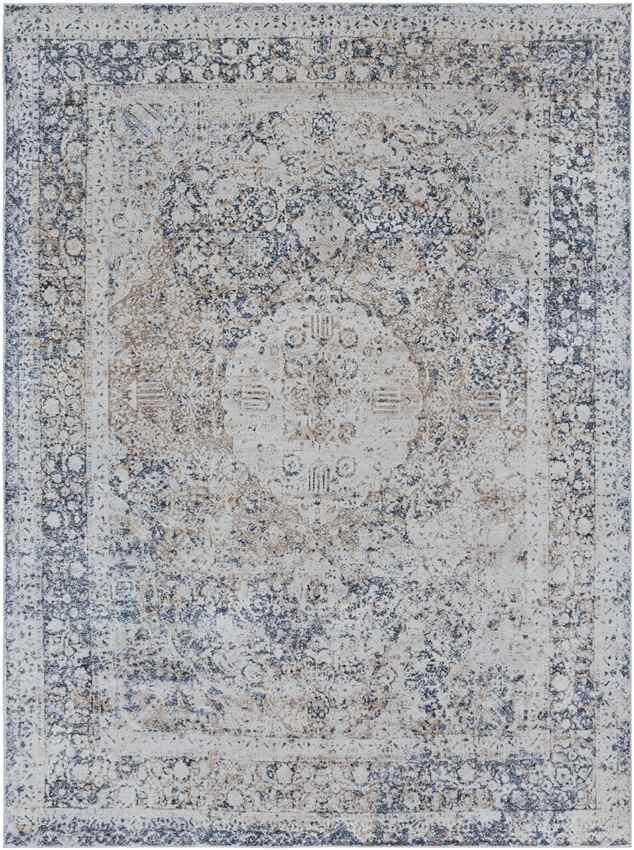 Finistere Traditional Medium Gray Area Rug