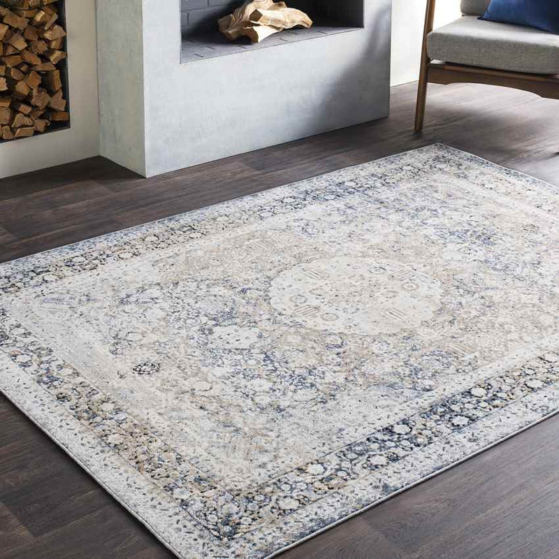 Finistere Traditional Medium Gray Area Rug