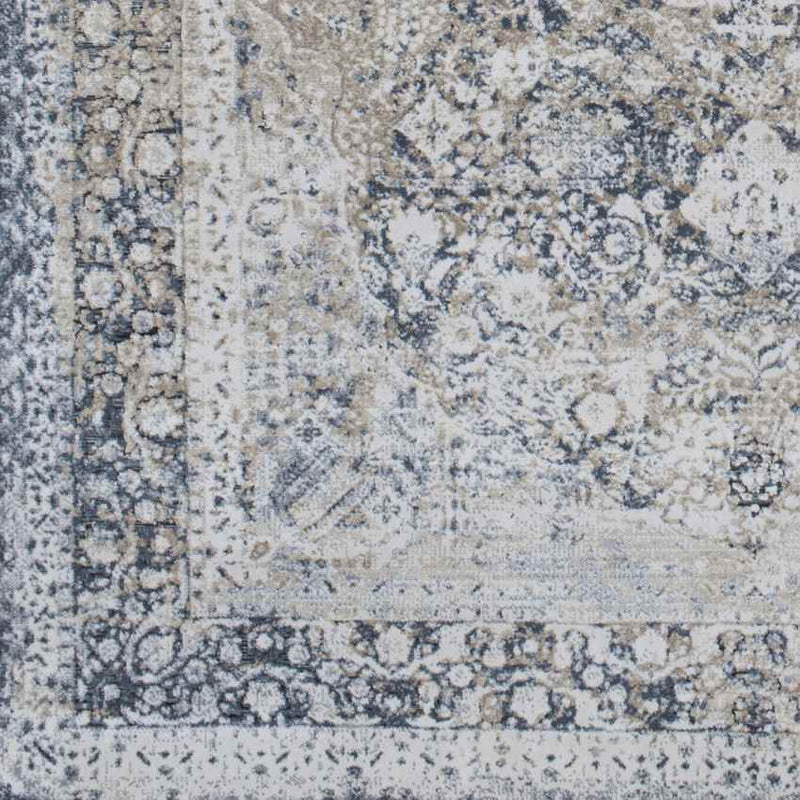 Finistere Traditional Medium Gray Area Rug