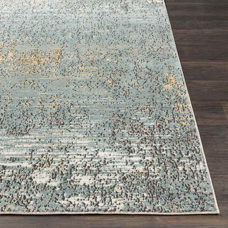 Doubs Traditional Aqua Area Rug