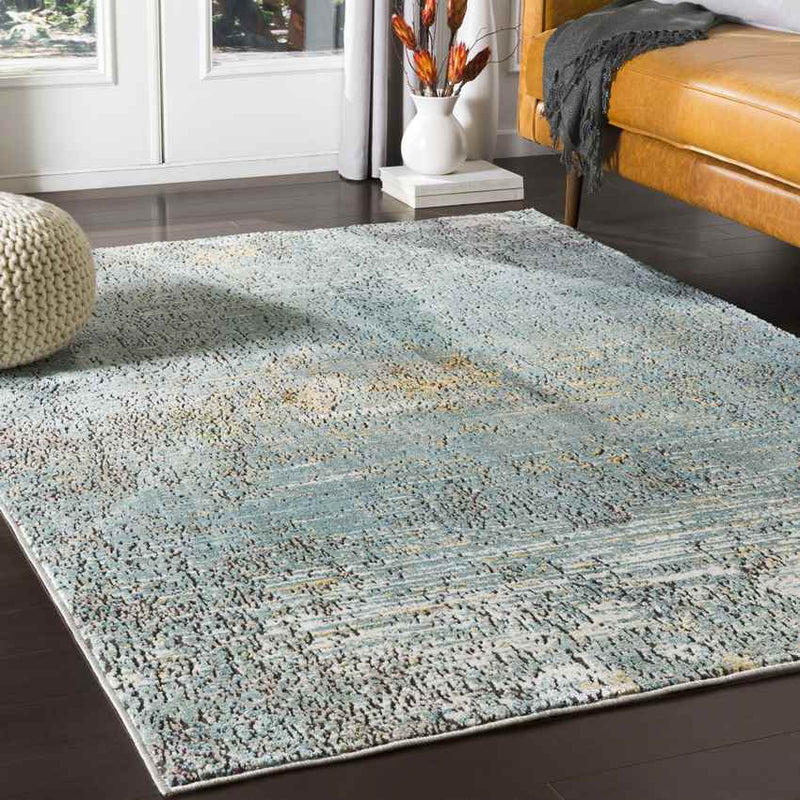 Doubs Traditional Aqua Area Rug