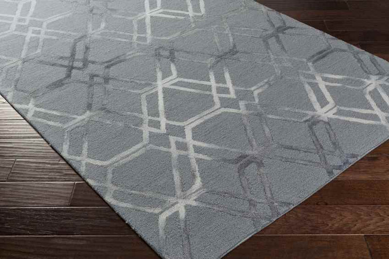 Cher Modern Medium Gray Area Rug