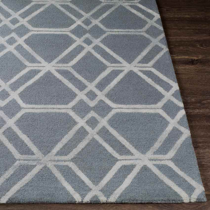 Cher Modern Medium Gray Area Rug