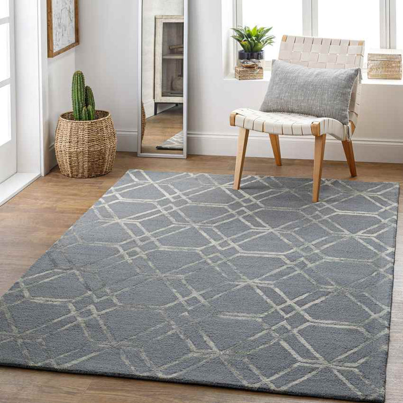 Cher Modern Medium Gray Area Rug