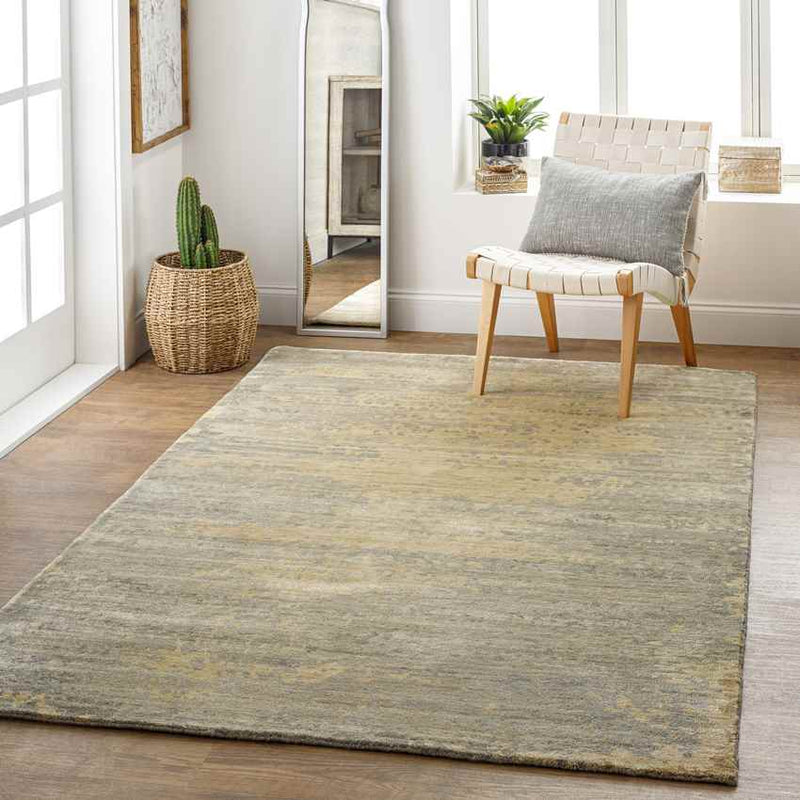 Aube Modern Light Gray Area Rug