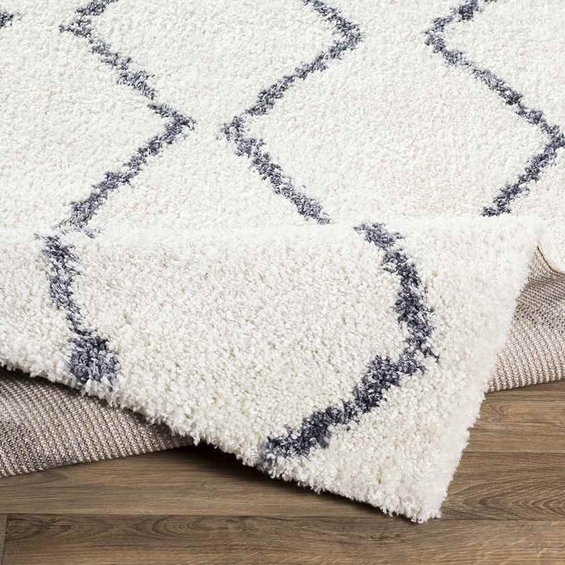 Brittany Global White Area Rug