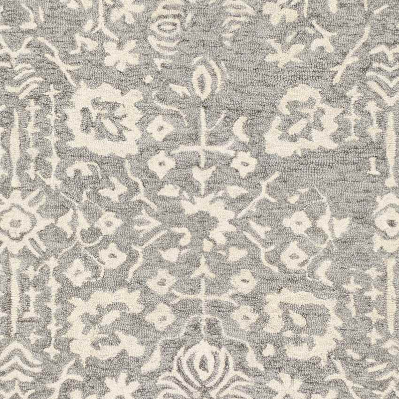 Cesena Traditional Medium Gray Area Rug