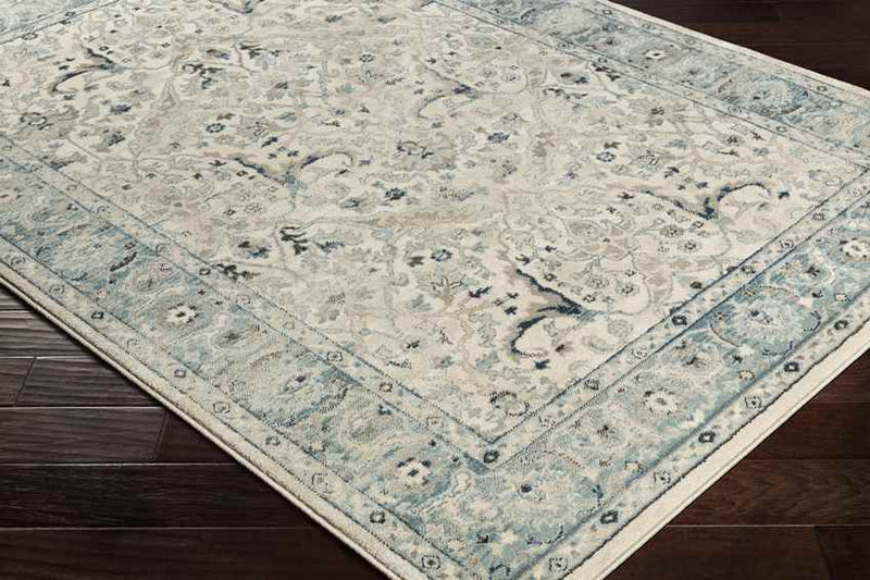 Legnano Traditional Medium Gray Area Rug