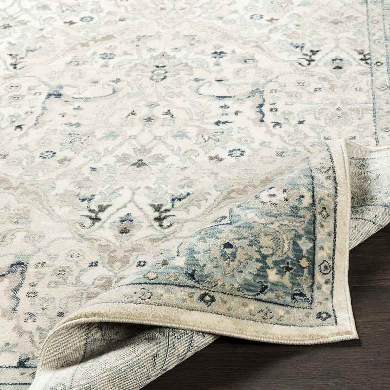 Legnano Traditional Medium Gray Area Rug