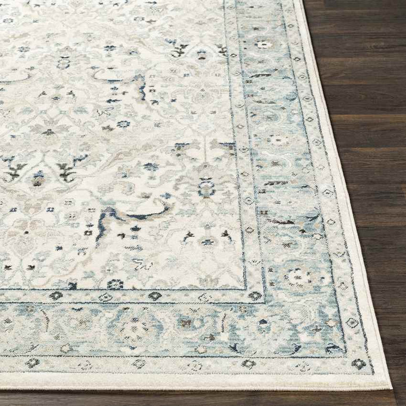 Legnano Traditional Medium Gray Area Rug