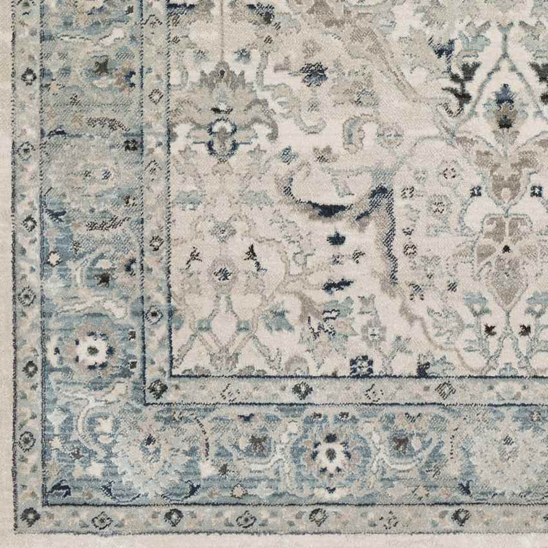 Legnano Traditional Medium Gray Area Rug