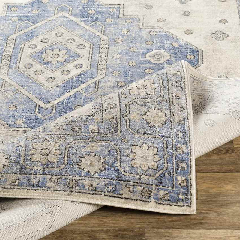 Teramo Traditional Bright Blue Area Rug