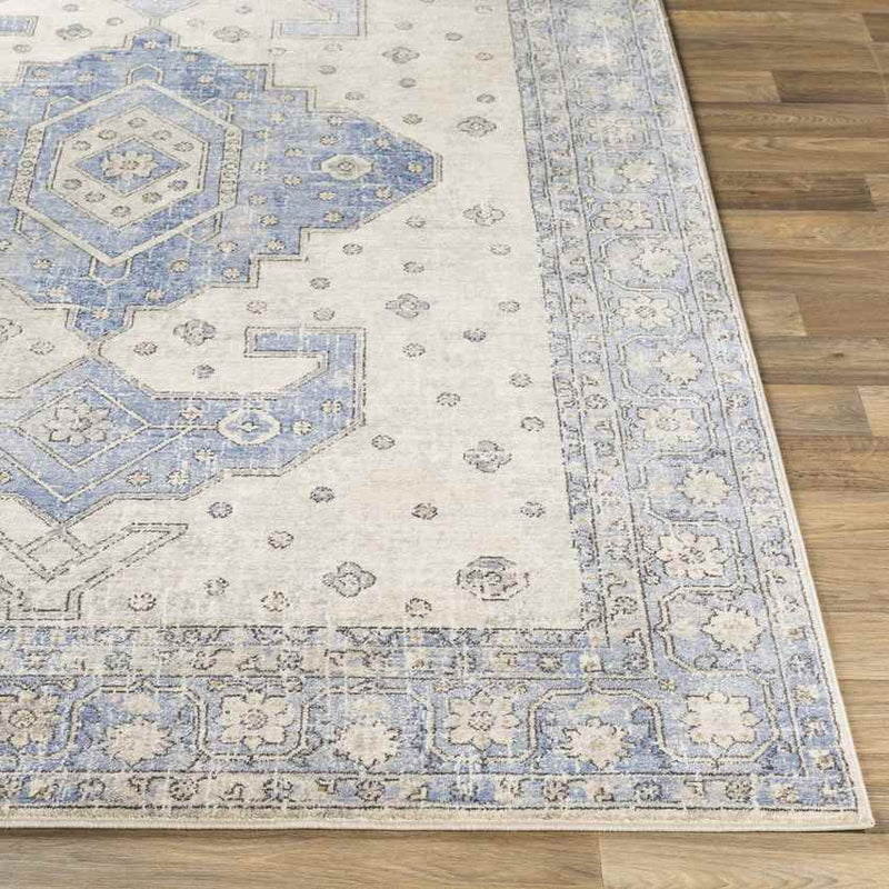 Teramo Traditional Bright Blue Area Rug