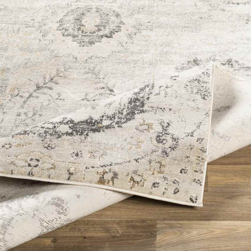 Avellino Traditional Charcoal Area Rug