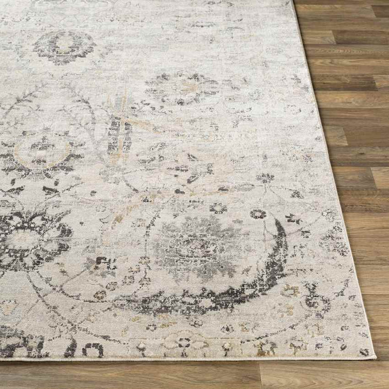 Avellino Traditional Charcoal Area Rug