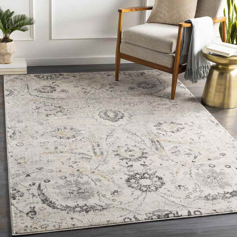 Avellino Traditional Charcoal Area Rug