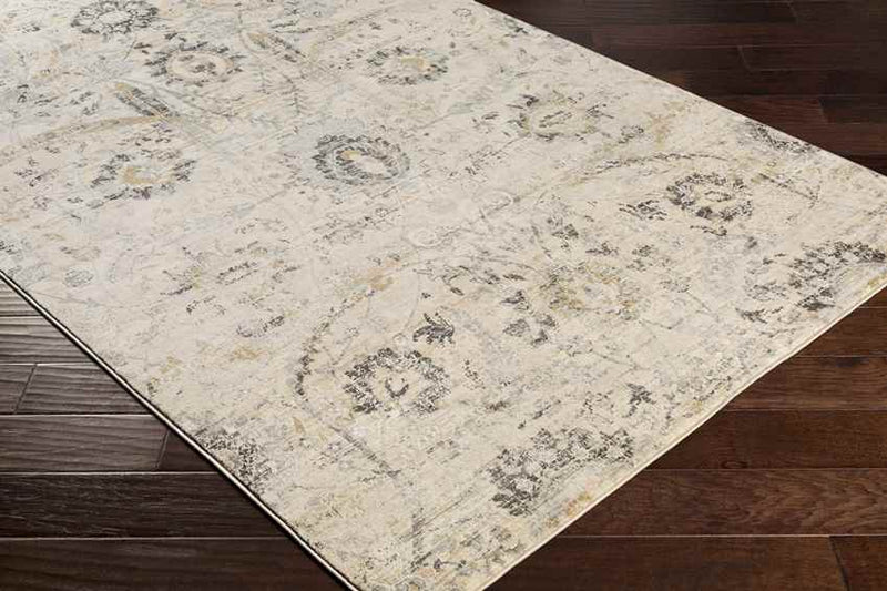 Avellino Traditional Beige Area Rug