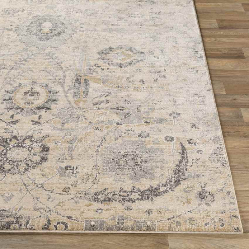 Avellino Traditional Beige Area Rug